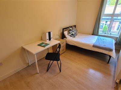 Picture 16